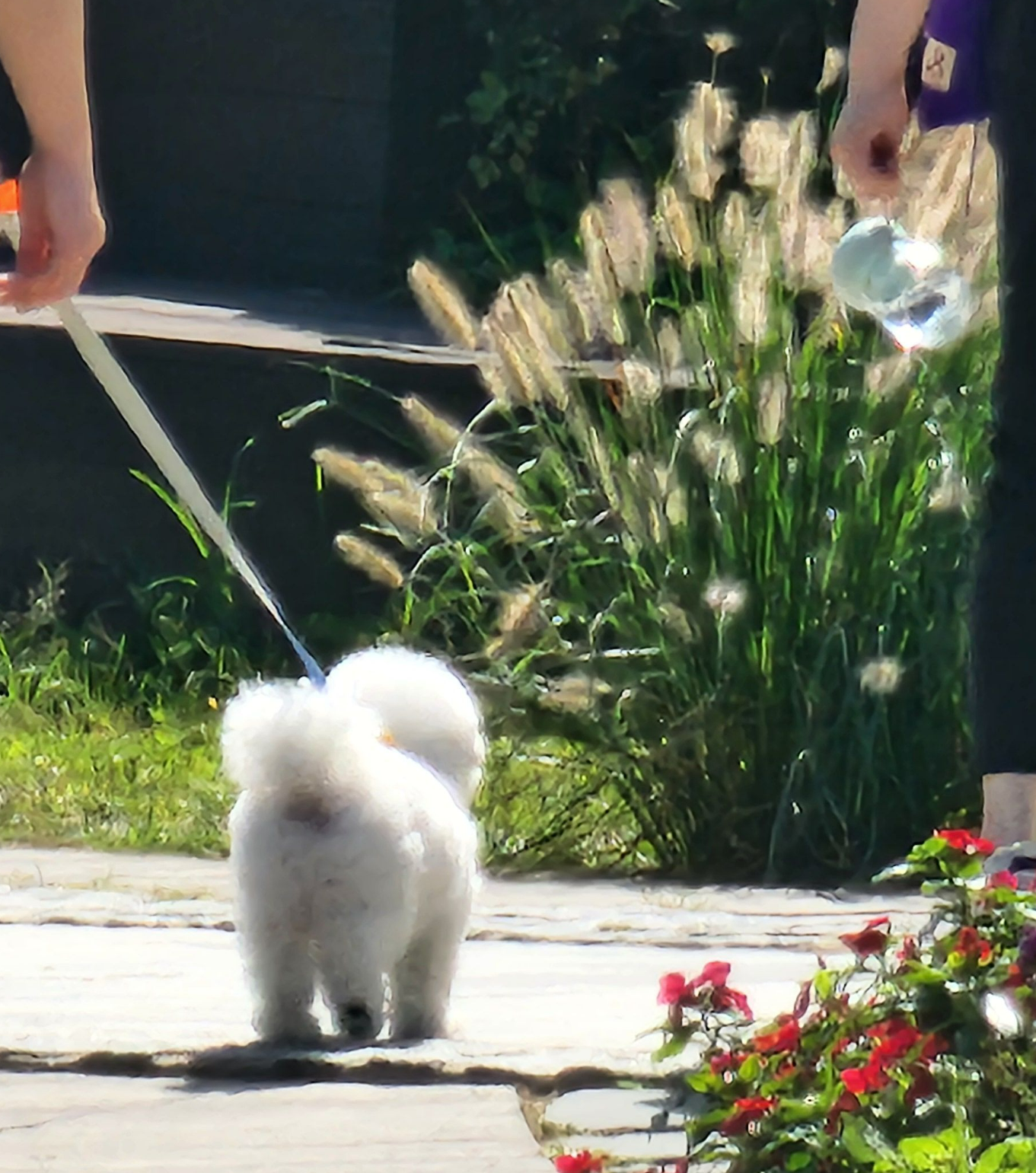 Alt 속성 문제 해결 설명 이미지