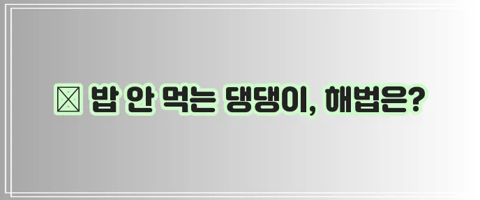강아지 식욕 부진 극복 식욕 증진 트릭이 필요합니다!