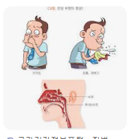 비염치료4