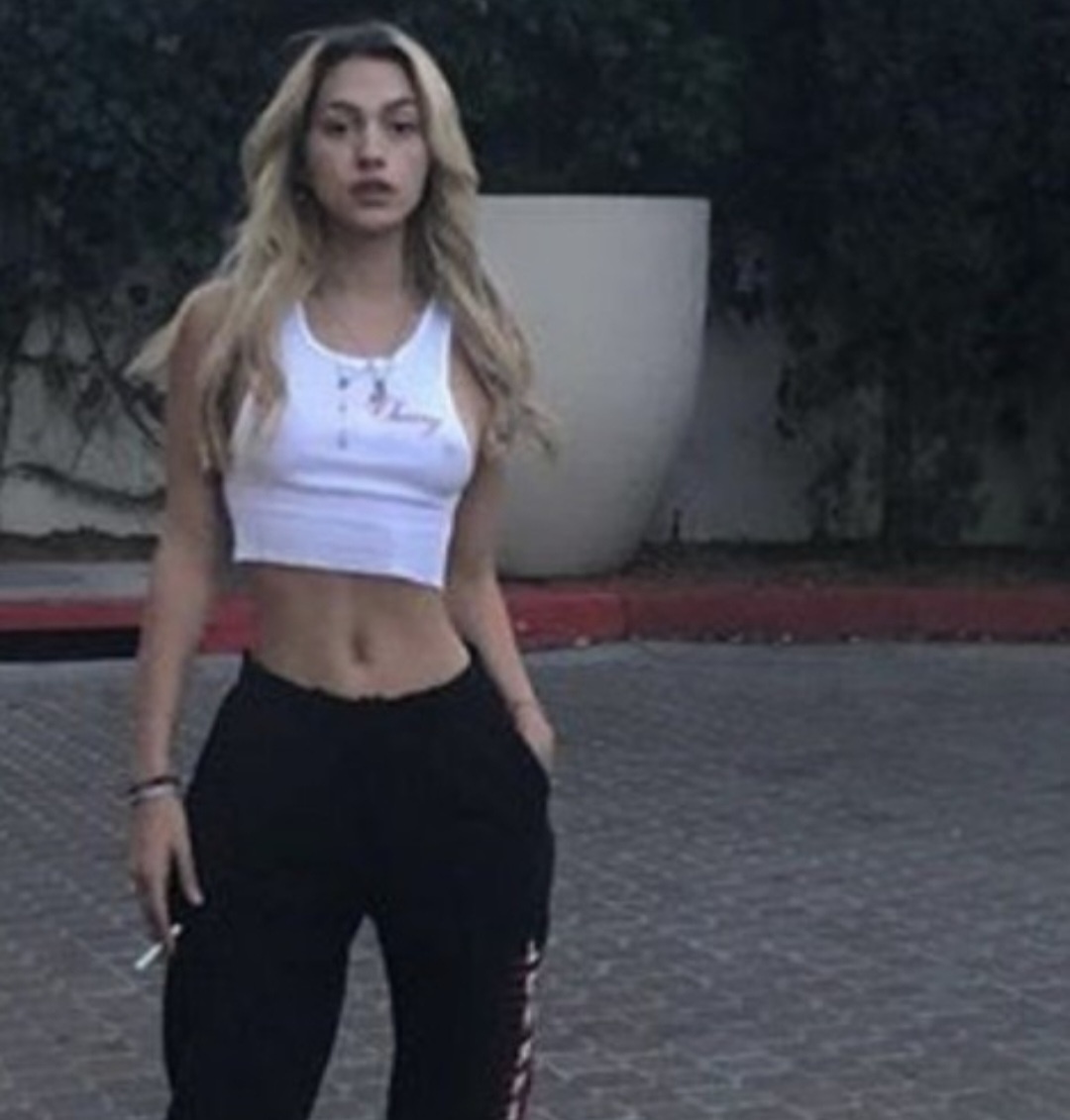 시서스 다이어트