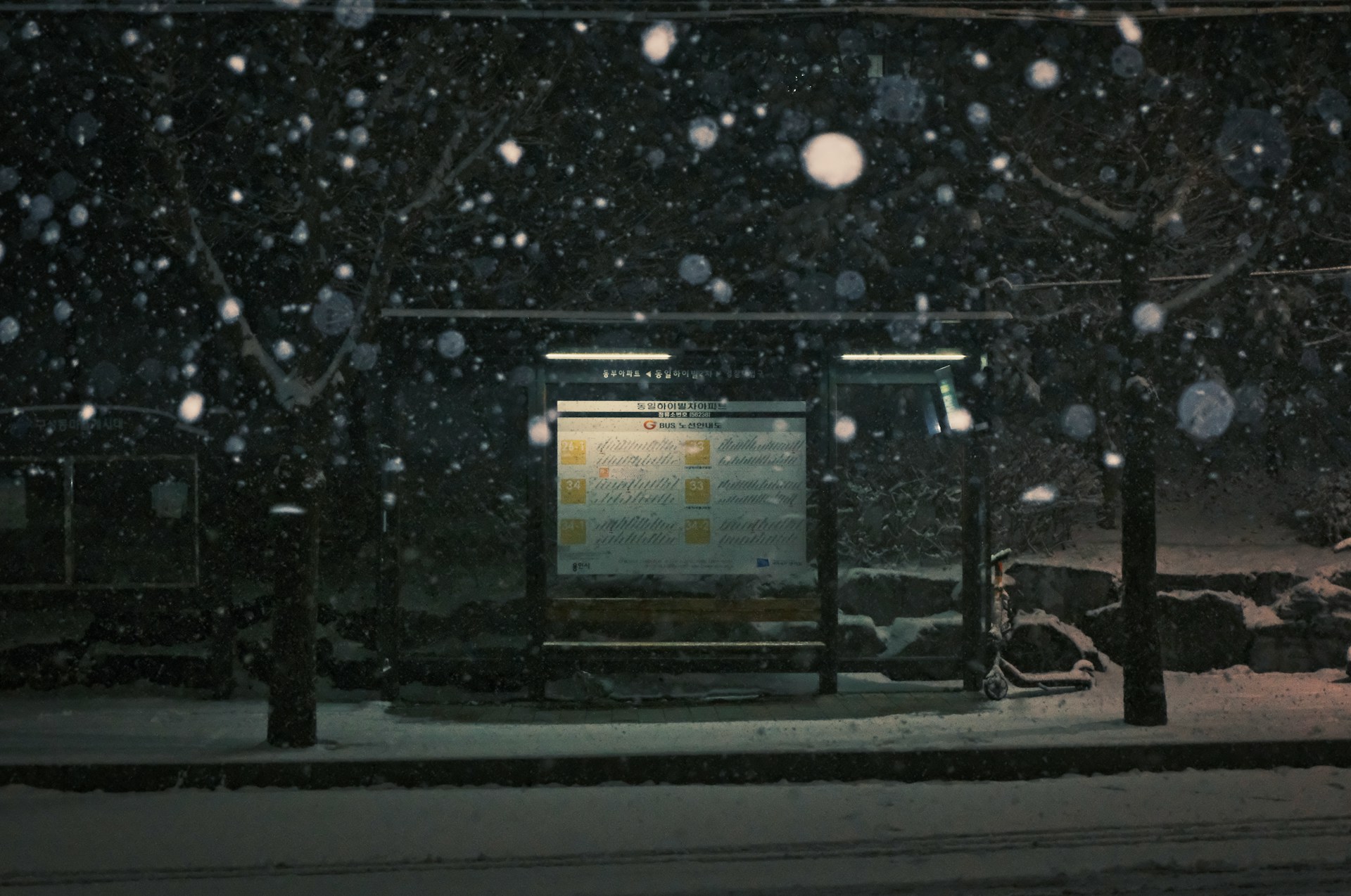 오늘의 일기 - 백설기로 덮여버린 하루