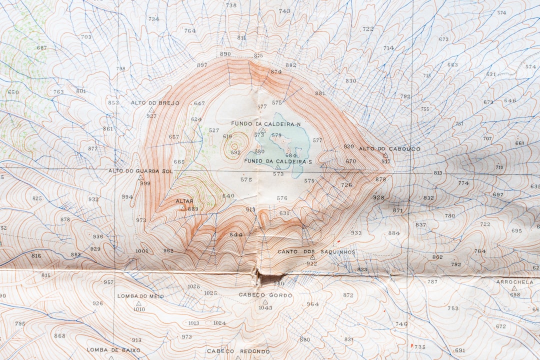 International Driving Permit
