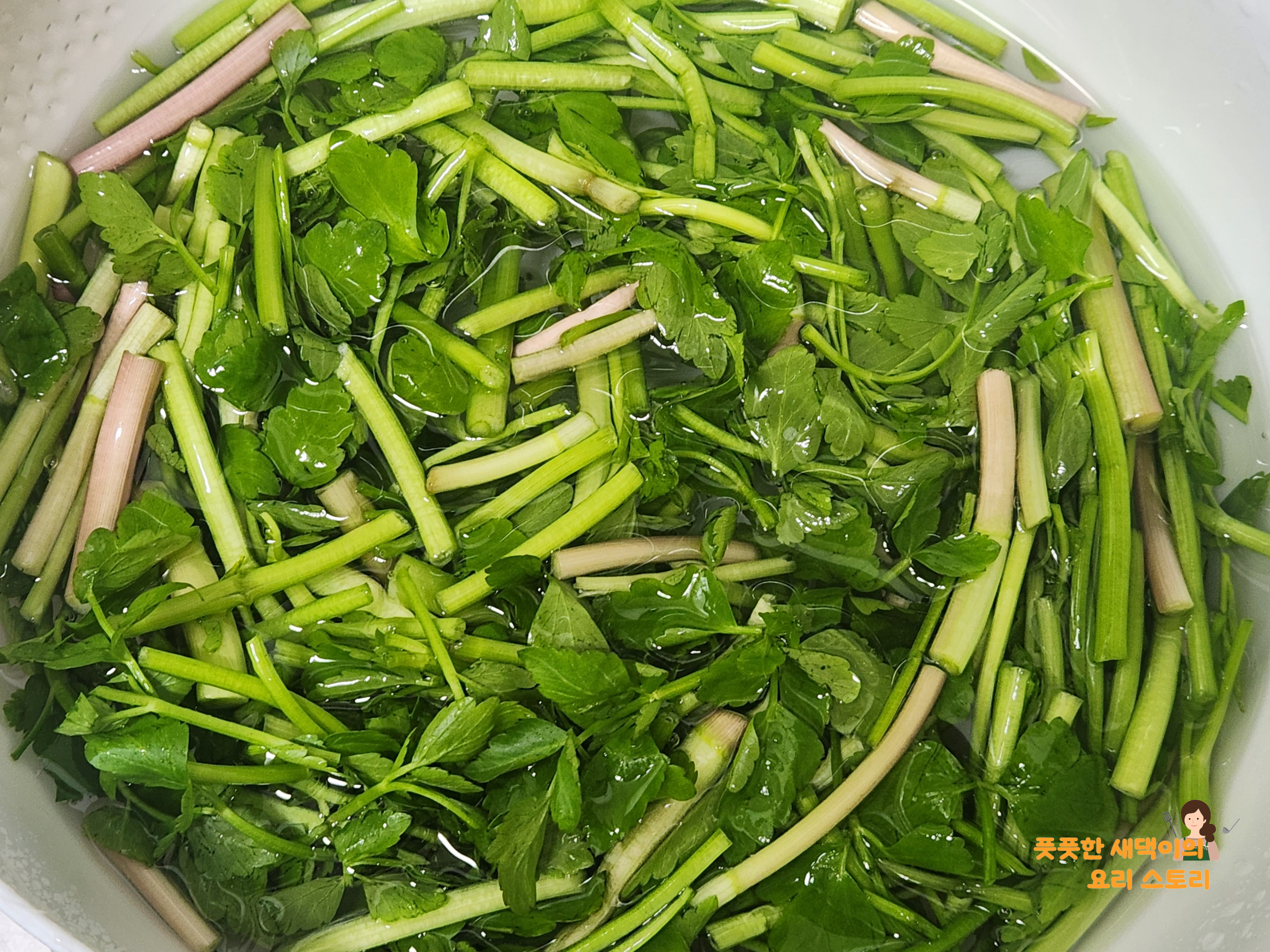 미나리 세척하기