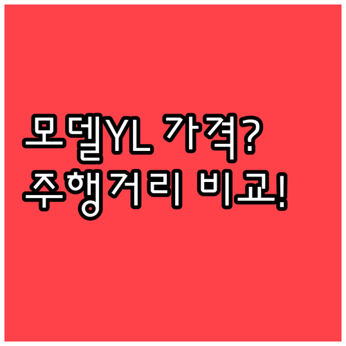 테슬라 모델 YL 가격 옵션 주행거리..