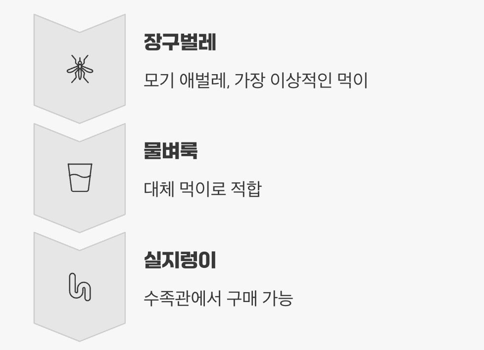 살아있는 것만 먹는 미식가