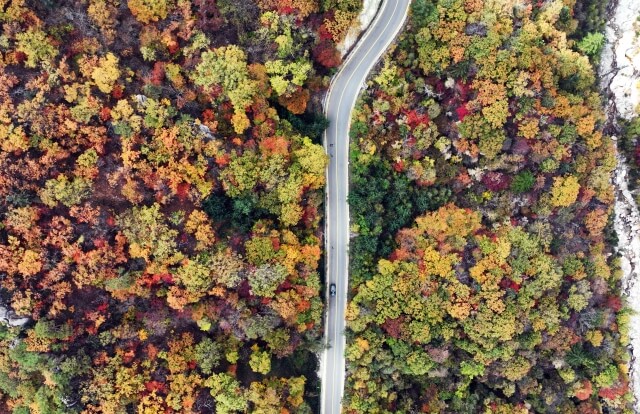 강원도 가을 단풍 여행 가이드 : 2025 설악산(속초/인제) 단풍 절정 시기 &amp; 추천 코스