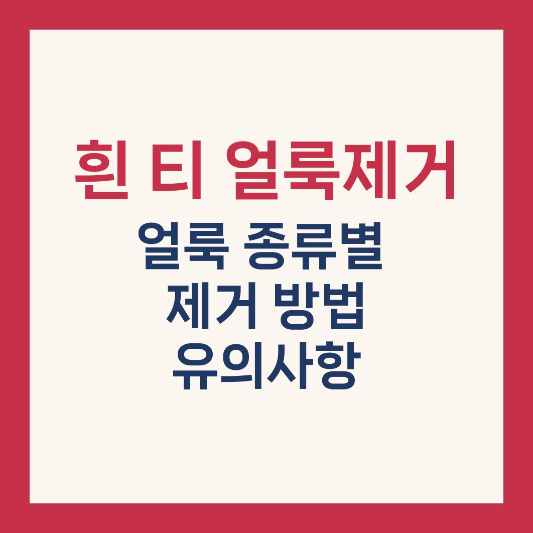 흰 티 얼룩제거 방법