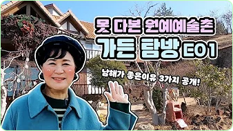 박원숙 박원숙의 같이 삽시다 시즌3, 나이, 재방송, 남해 카페, 프로필, 아들,고향, 가족, 드라마