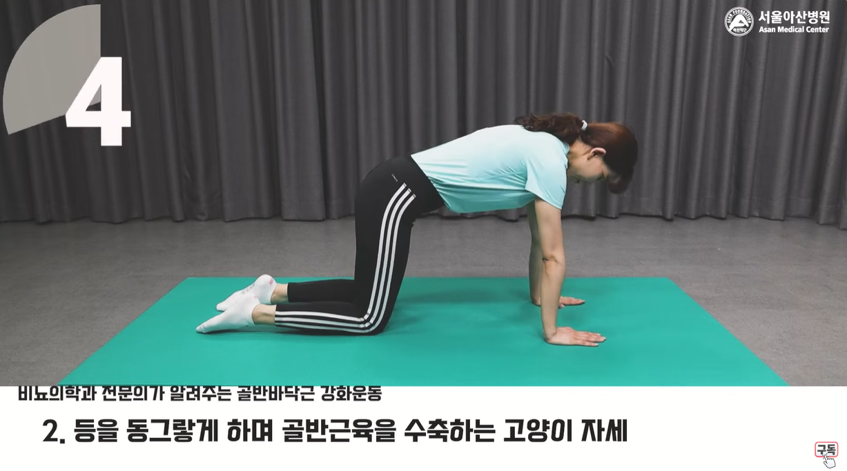 동을 동그랗게 하며 골반근육을 수축하는 고양이 자세