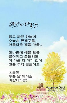 가을이미지