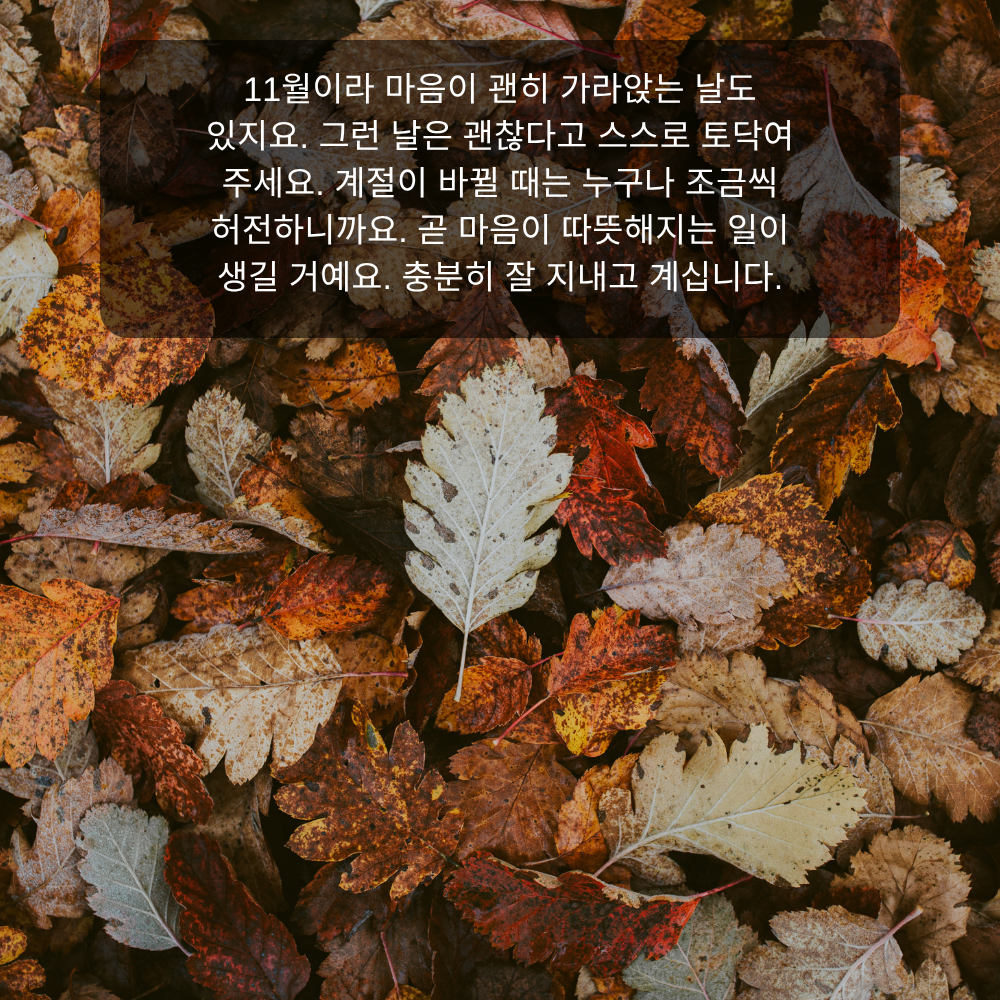 11월 인사말 10 마음이 가라앉는 11월 토닥임 인사말 이미지