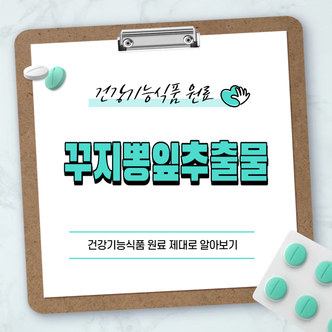 꾸지뽕잎추출물