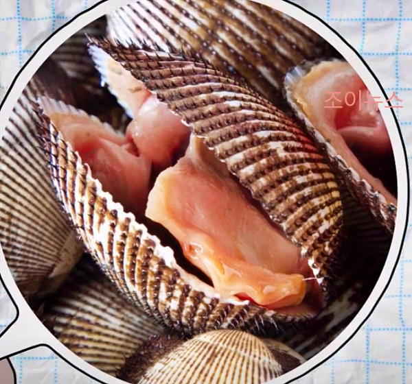 피꼬막_출처:식품의약품안전처