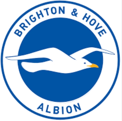 브라이튼 팀 이미지