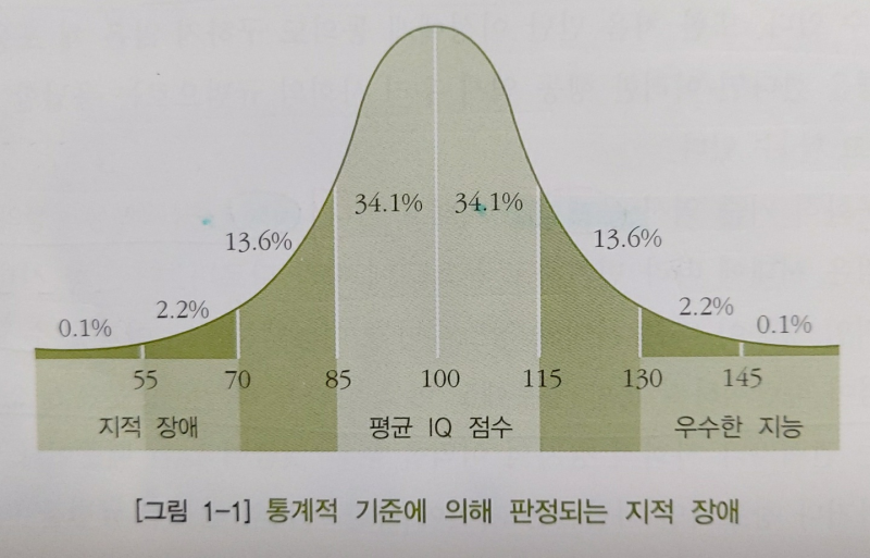 통계적 기준에 의해 판정되는 지정 장애