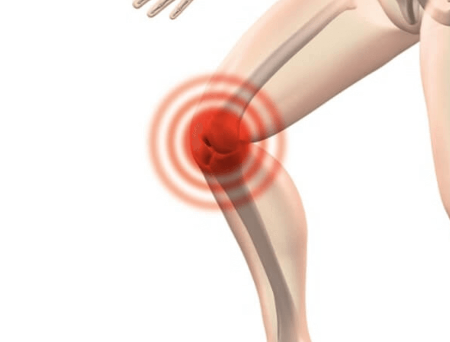 콜라겐의 효능 관절과 연골 건강