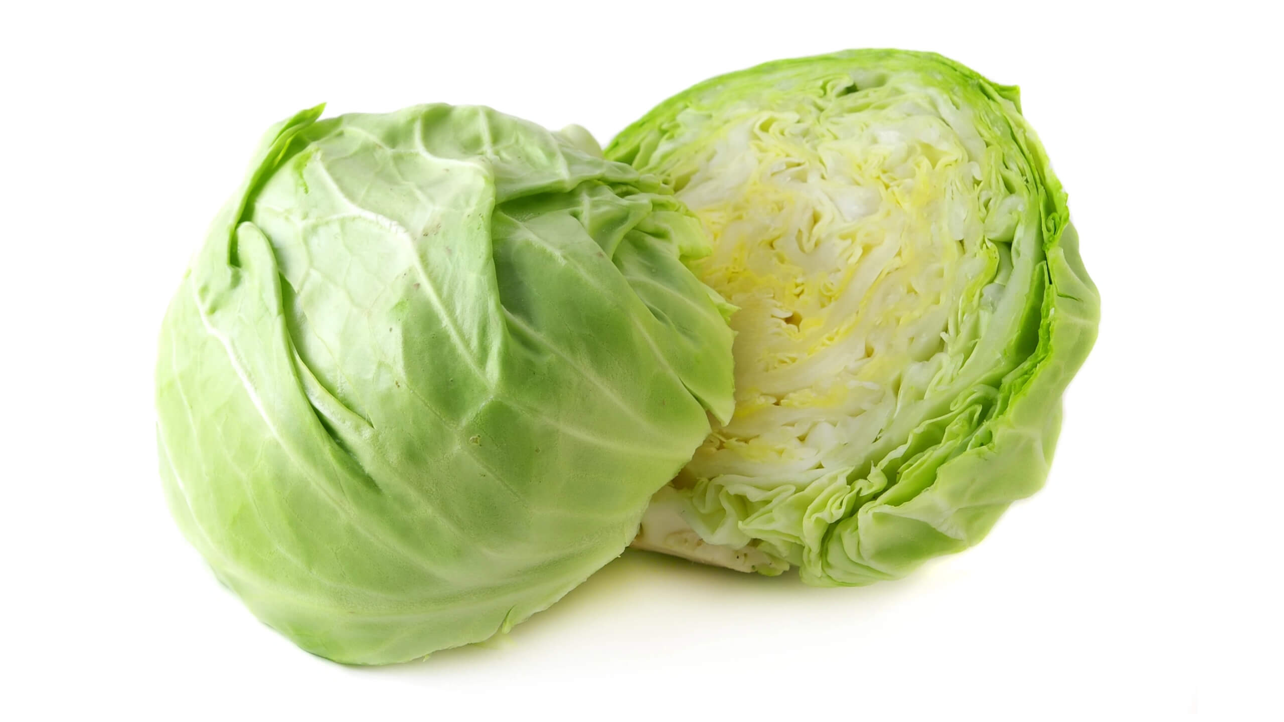 양배추의 항암효능