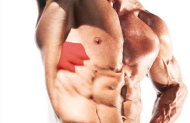 전거근 기능 통증 원인 및 전거근 운동 스트레칭 방법