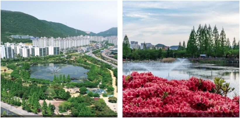 김해-연지공원-호수-철쭉