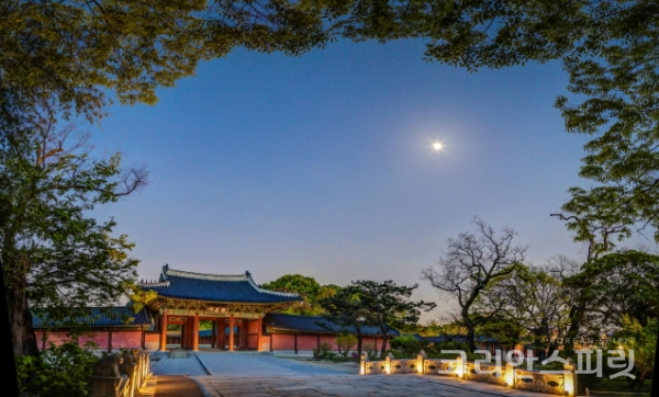 창덕궁의 역사와 문화