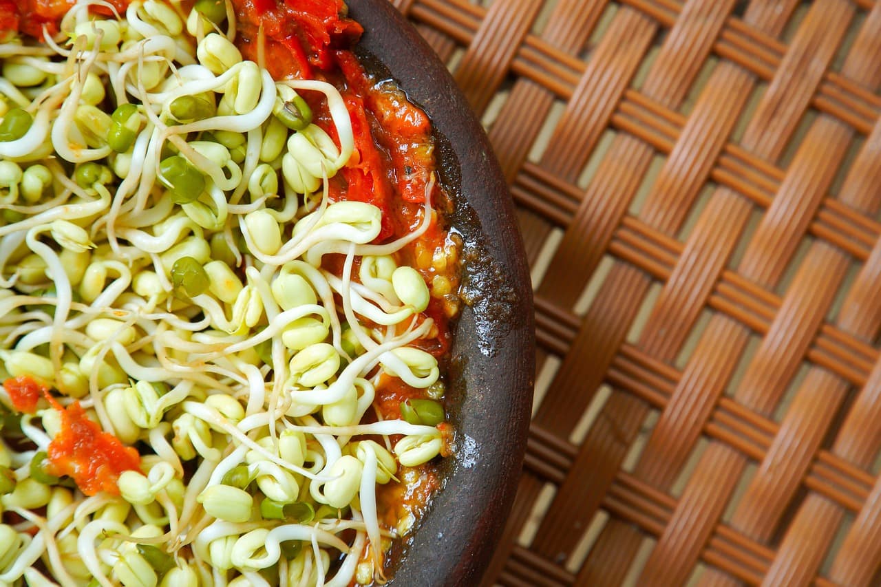 콩나물의 영양성분과 효능 총정리