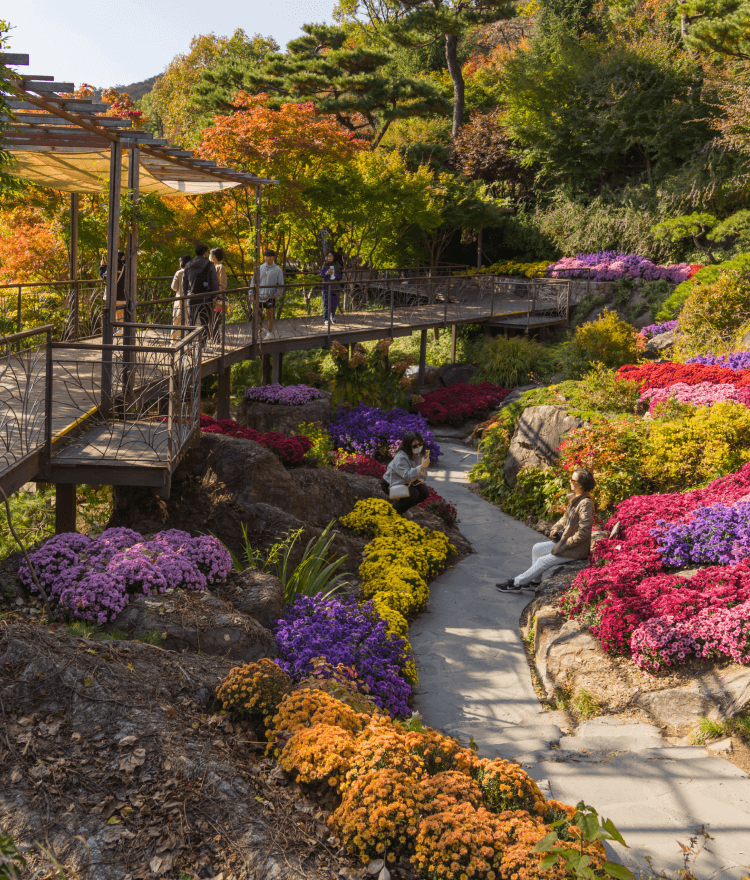 2025 화담숲 예약방법 총정리! 입장료&amp;#44; 모노레일&amp;#44; 교통&middot;주차&amp;#44; 할인 혜택