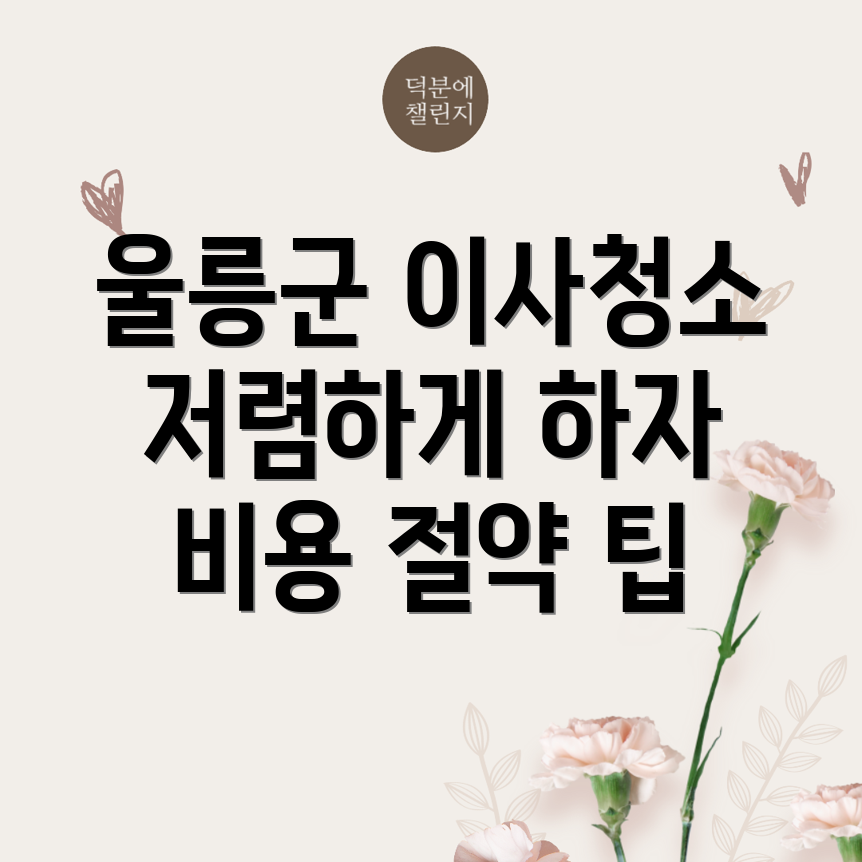 울릉군 이사청소