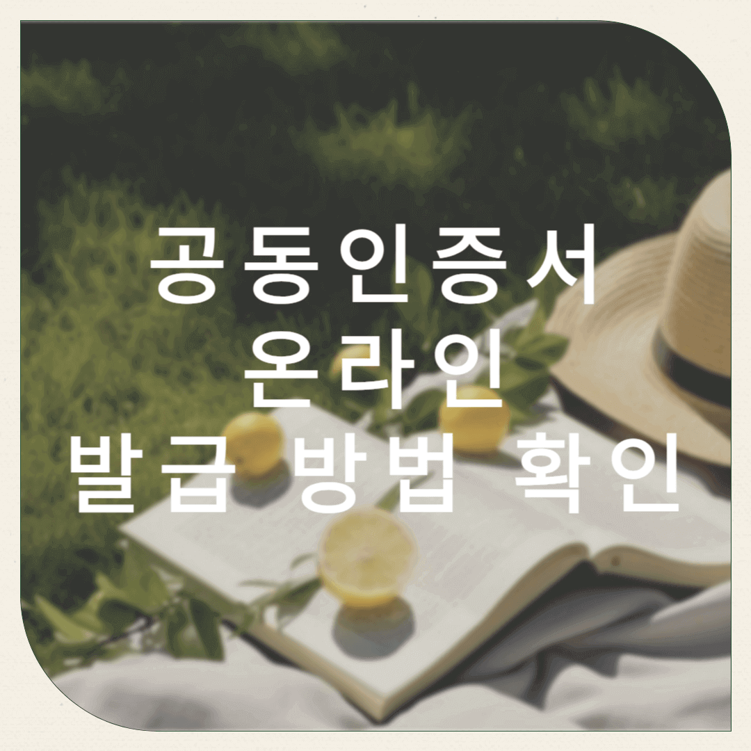 공동인증서 발급 방법