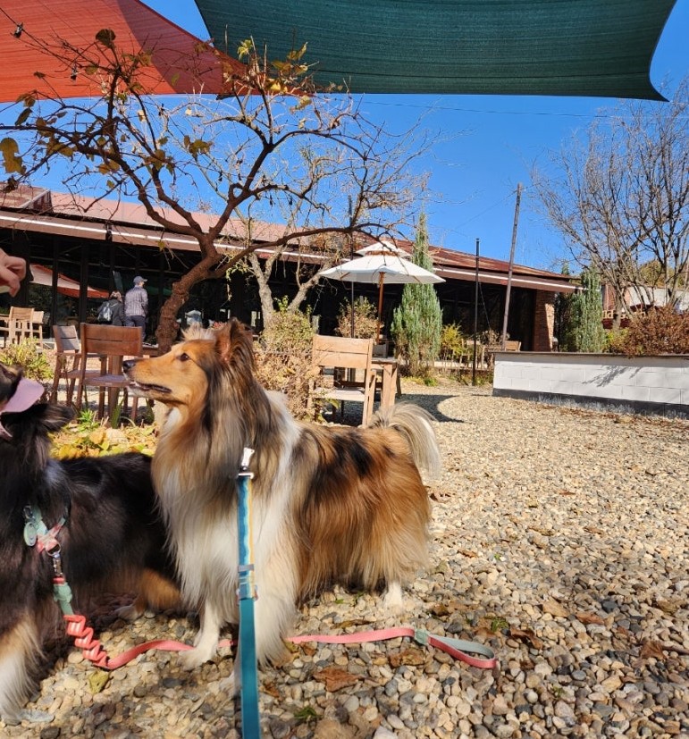 가평 더스테이 힐링파크