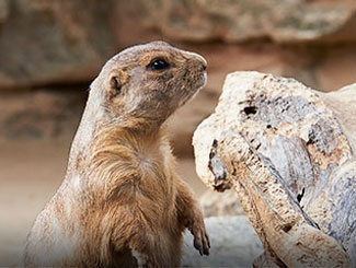 국립생태원 예약