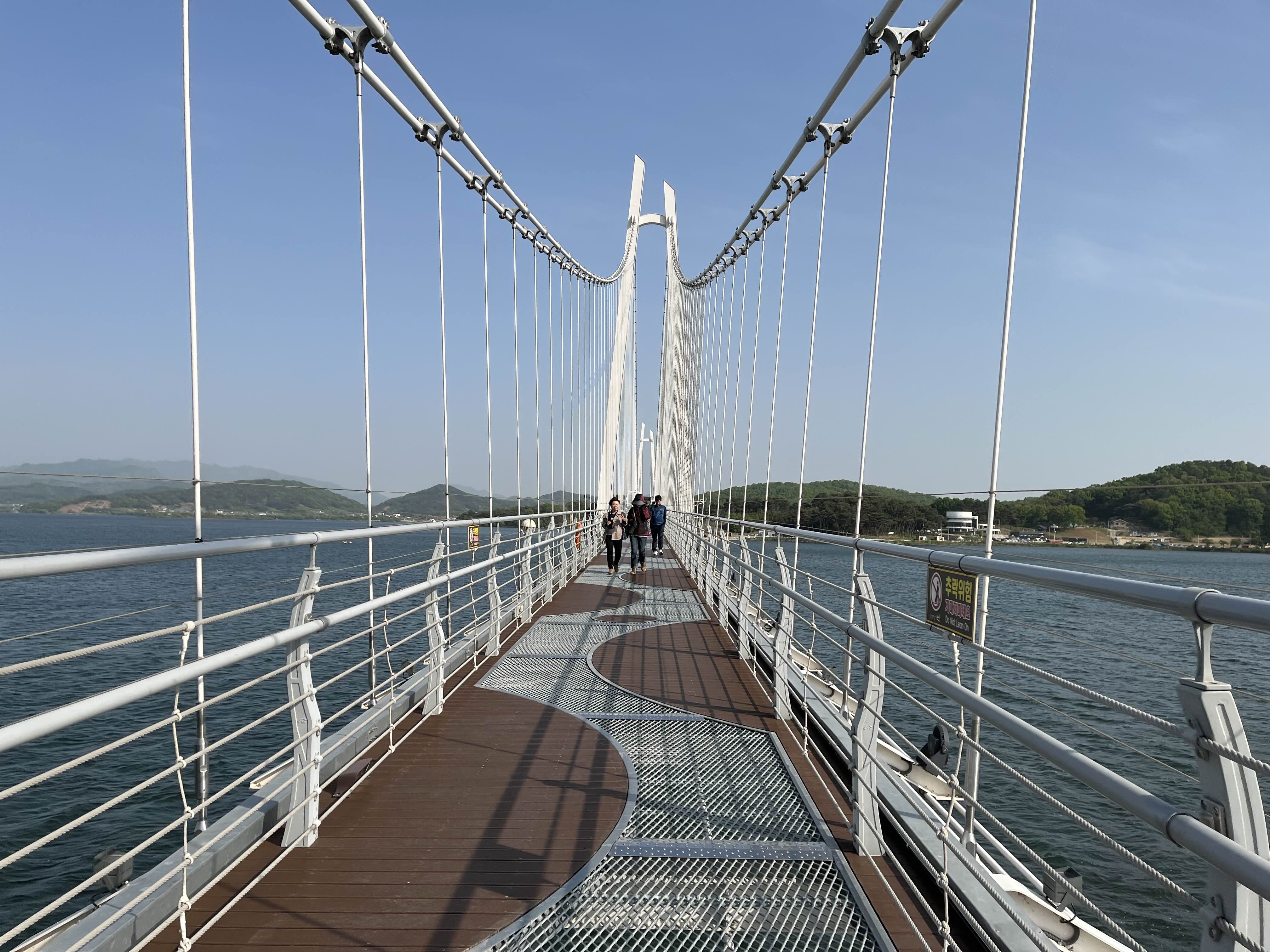 충남의 명물 <탑정호 출렁다리>