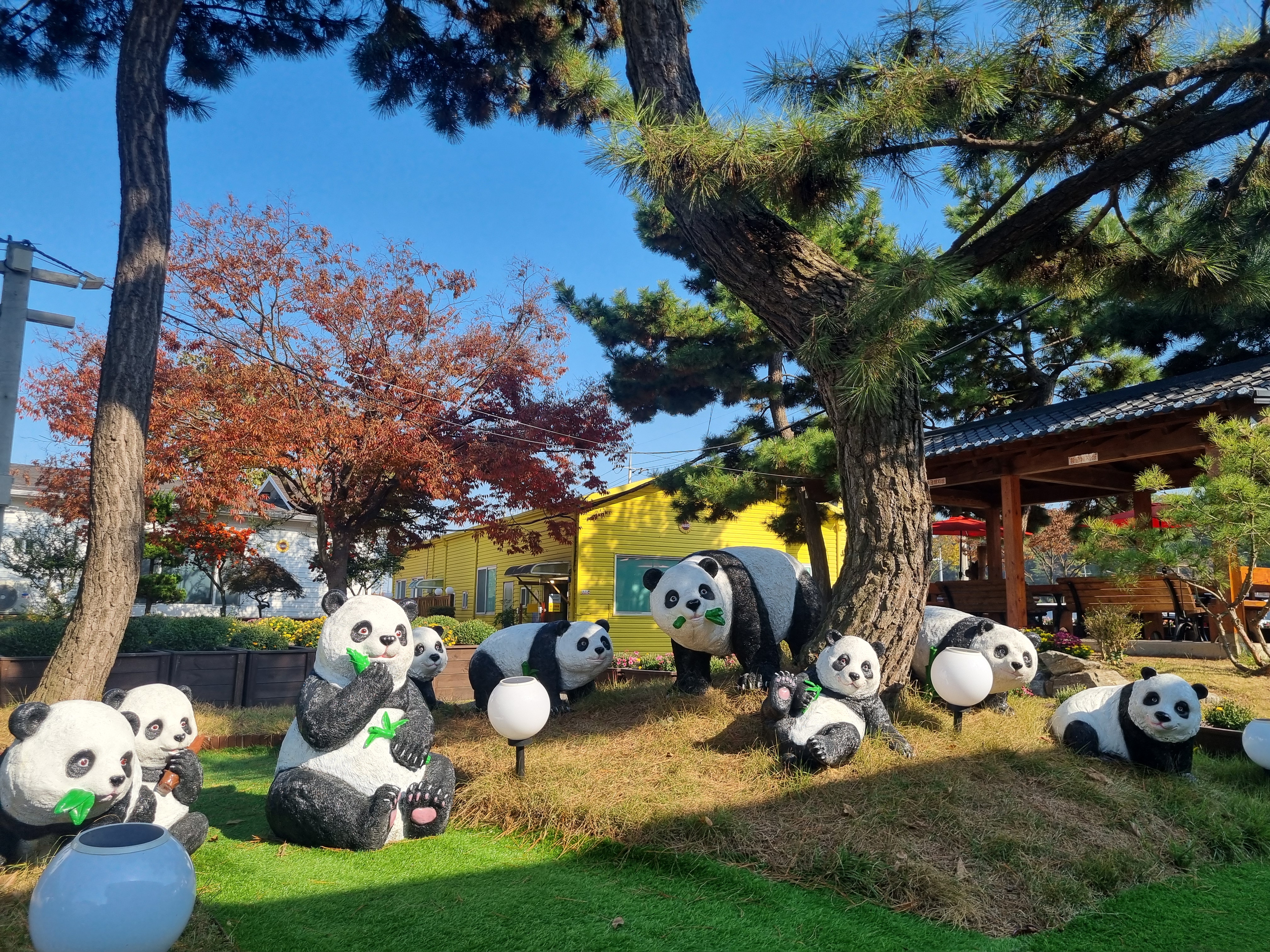 영종도 카페 파스꾸찌 실외