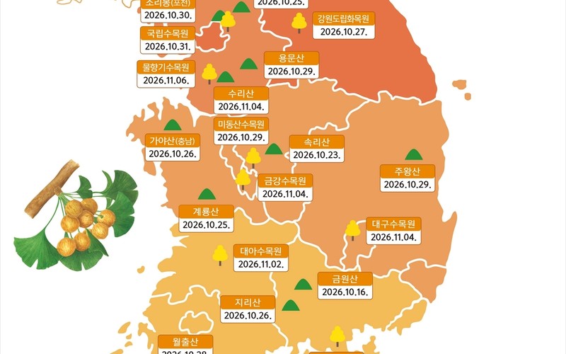 2026 단풍 시기·단풍지도 설악산부터 내장산까지 주말별 명산 총정리 -