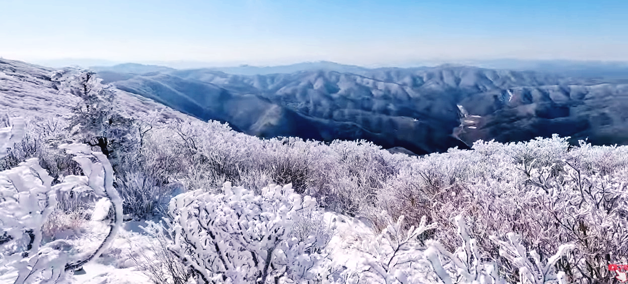 태백산 상고대