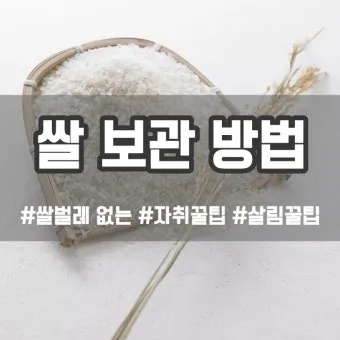 쌀 보관 김치냉장고 벌레 페트병 건식 보관 요령_12