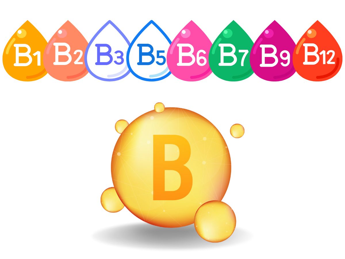 비타민B 복합체