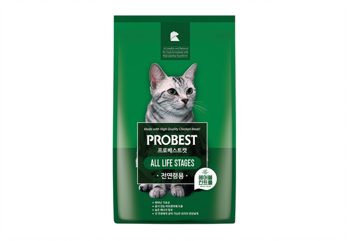 고양이 사료 추천 best 5