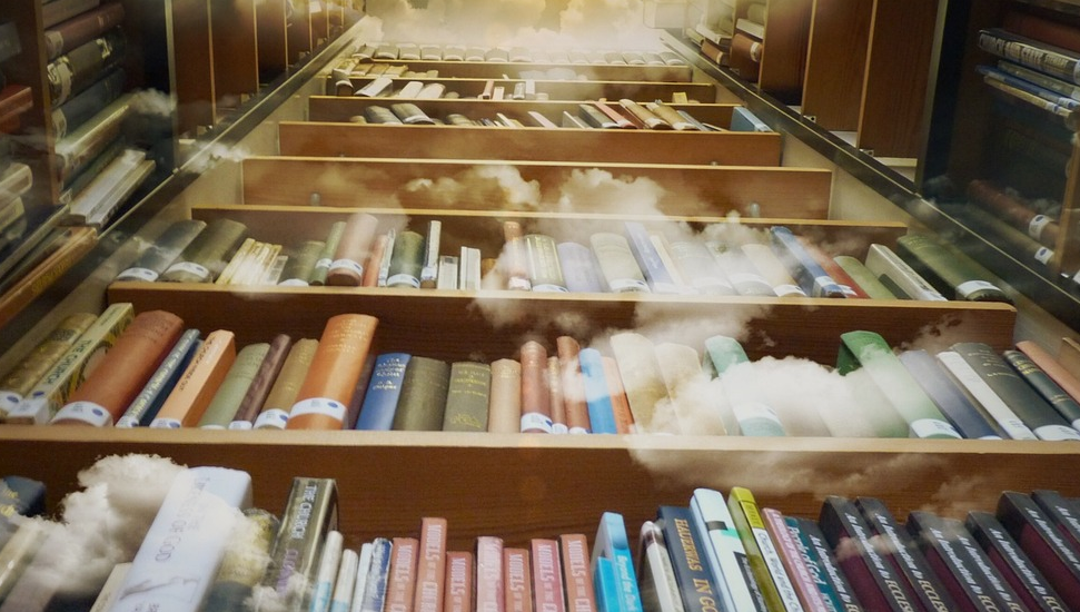 책과 관련된 사진