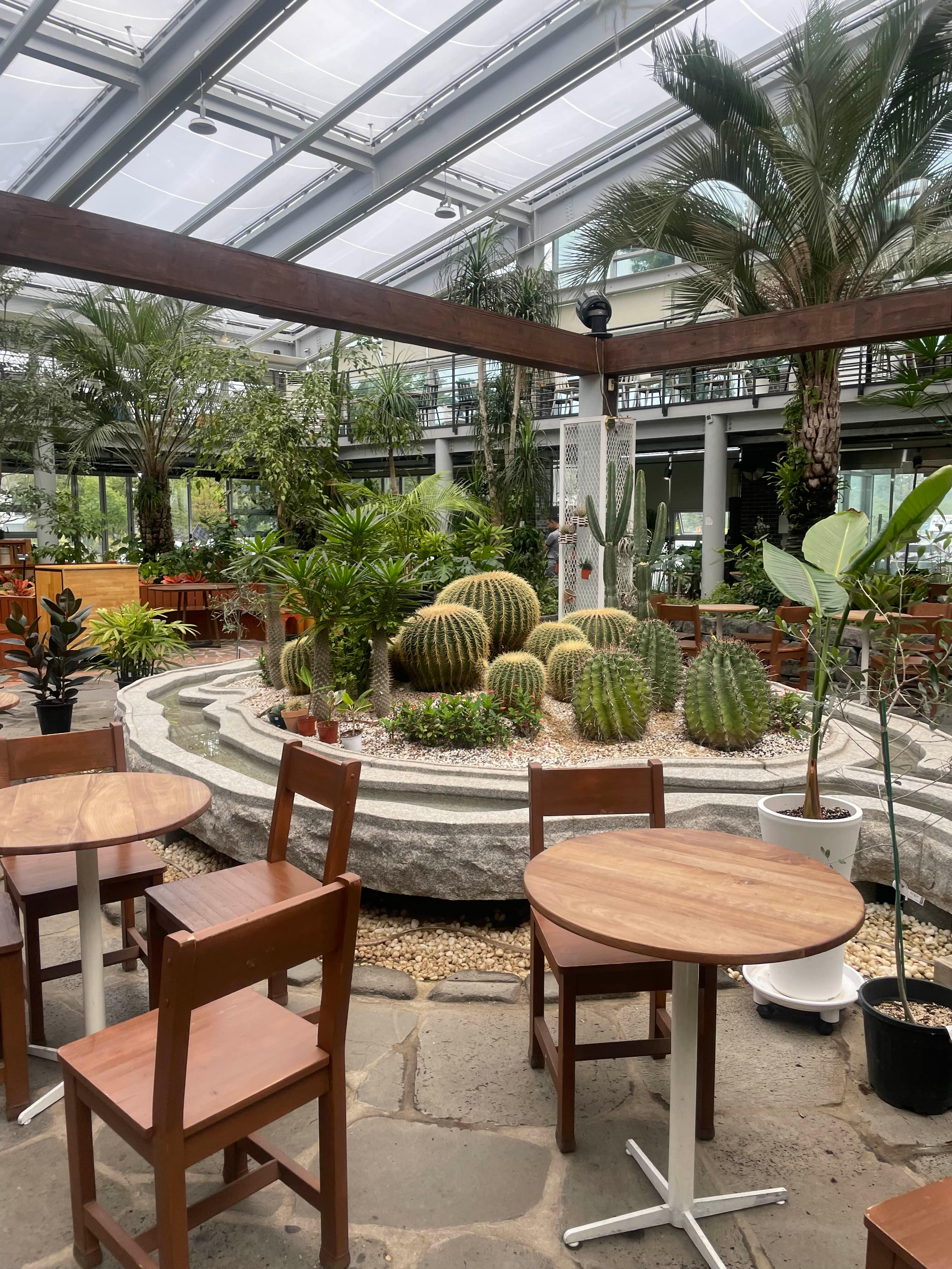 다육이 키우는 방법 총정리