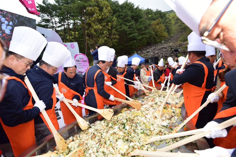 제 28회 비슬산 참꽃문화제 특징