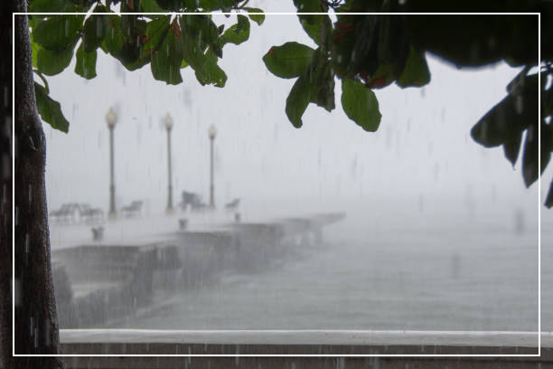 강수량 통계 확인