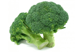 위에좋은음식13