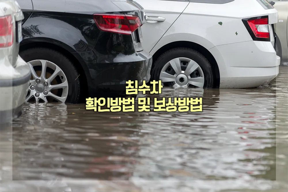 침수차 확인방법 보상방법
