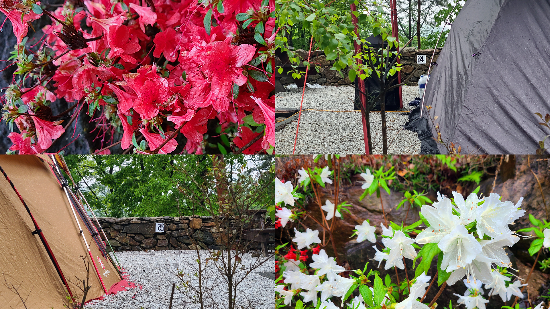 거창 산중 숲속 오토캠핑장