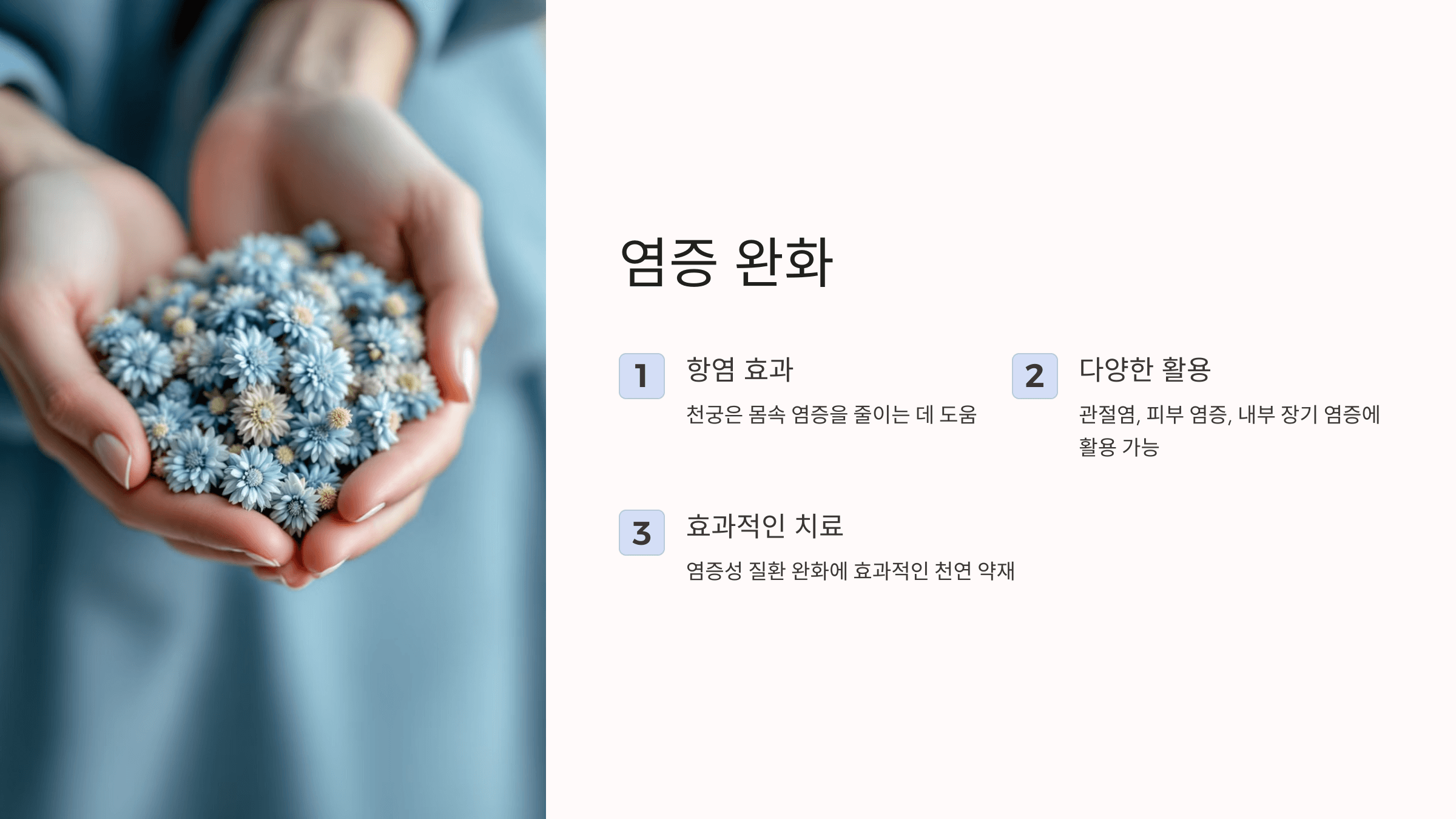 천궁 사진입니다.