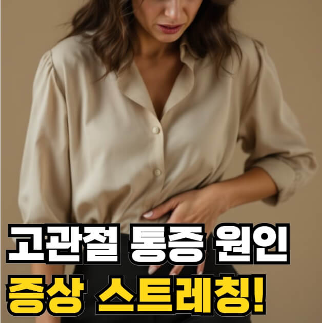 고관절 통증 원인 증상 스트레칭