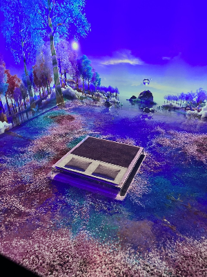 속초 가볼만한곳 뮤지엄엑스