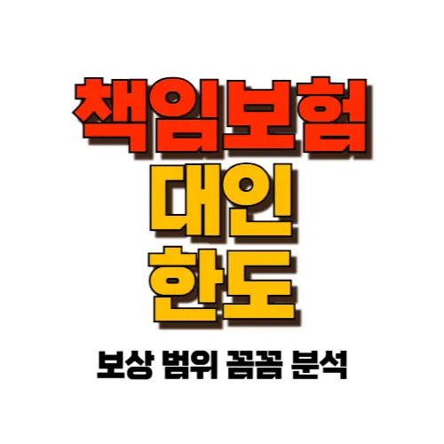 책임보험 대인 한도