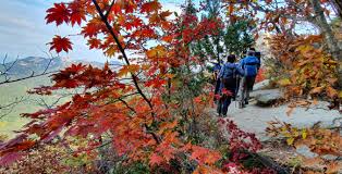 북한산 단풍 명소 베스트코스