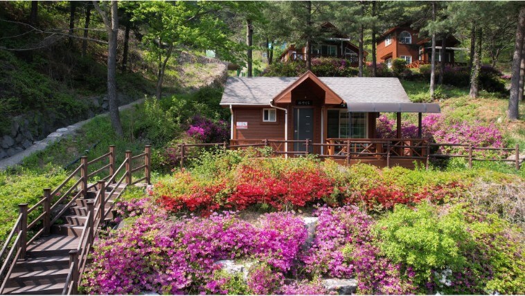 칼봉산자연휴양림의 봄사진1